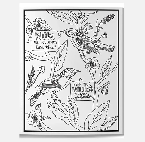 חוברת צביעה SALTY BIRDS ACOLORING BOOK