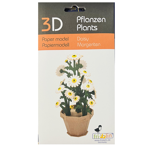 ערכת הרכבה מנייר דייזי 3D Daisy