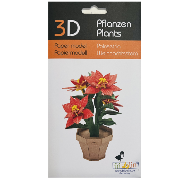 ערכת הרכבה מנייר חלבלוב 3D POINSETTIA