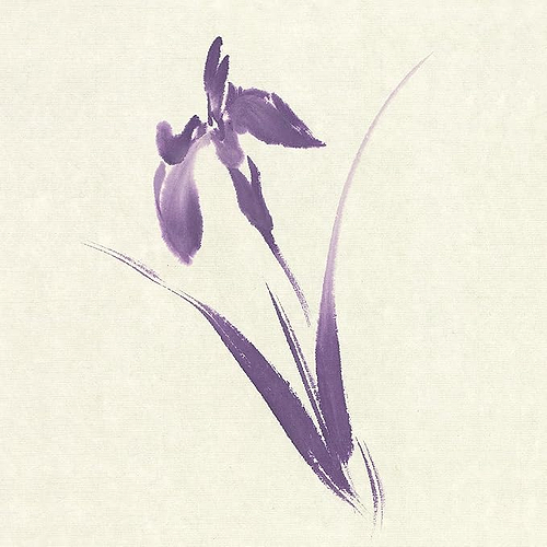דיו סומי מוצק גוון סגול Kuretake SAIBOKU SHIMBI IROSumi Ink Stick, VIOLET