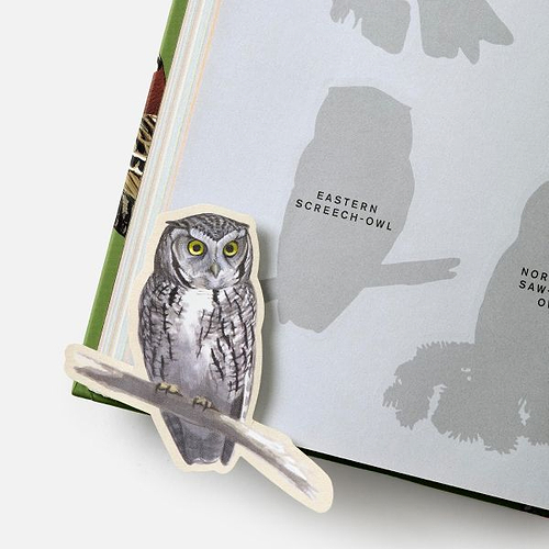 ספר מדבקות SIBLEY BIRDING STICKER BOOK