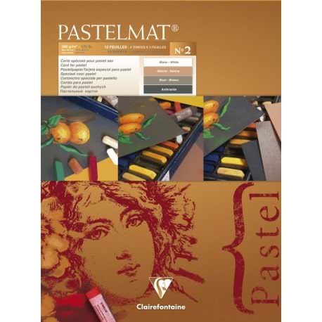 בלוק לפסטל 24/30 PASTELMAT דגם 2 מבית CLAIRFONTAINE