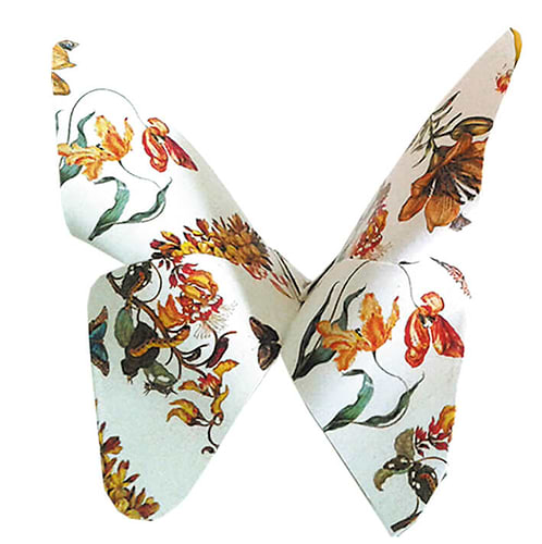 נייר אוריגמי MARIA SIBYLLA MERIAN 15/15
