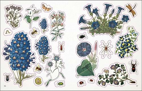 ספר מדבקות BOTANISTS STICKERS ANTHOLOGY