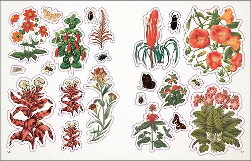 ספר מדבקות BOTANISTS STICKERS ANTHOLOGY