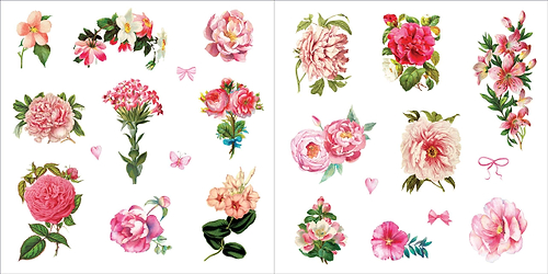 חוברת מדבקות BUNCHES OF BOTANICALS