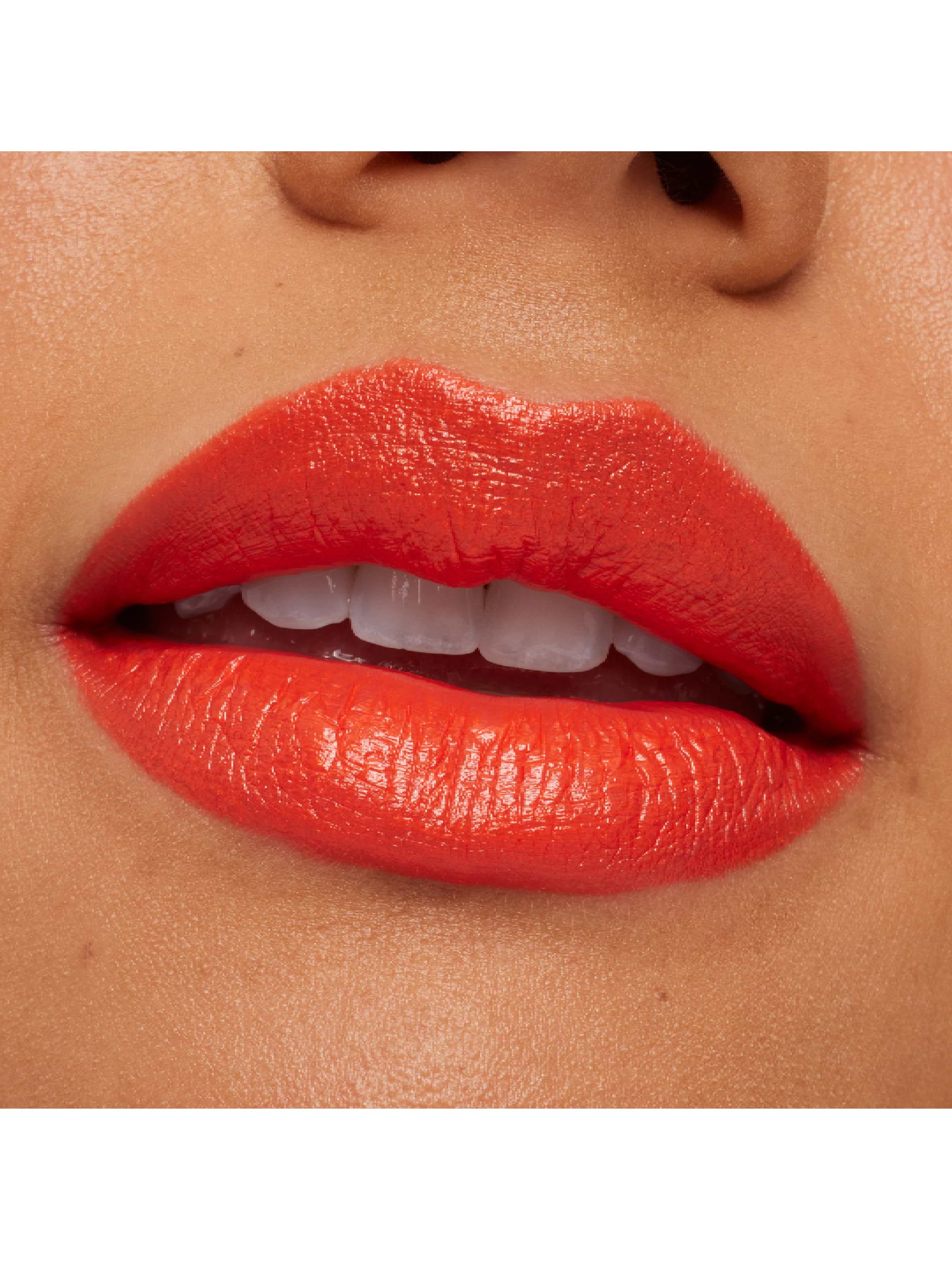 Қасқырдың кептірілген қынабы