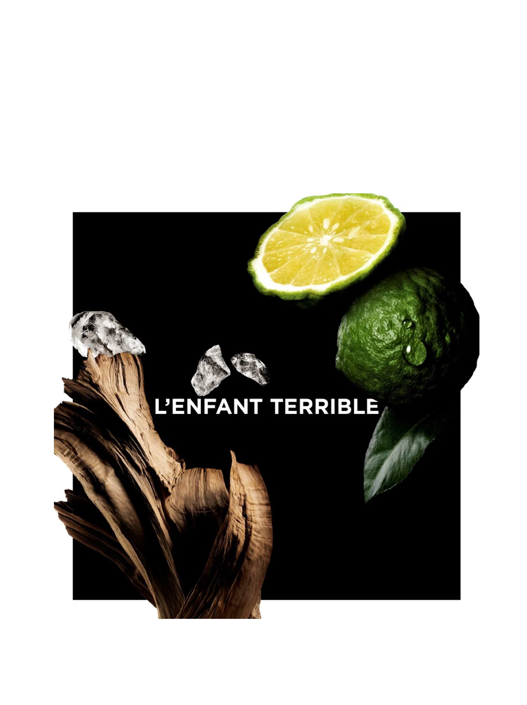 Аристократтың жынысы