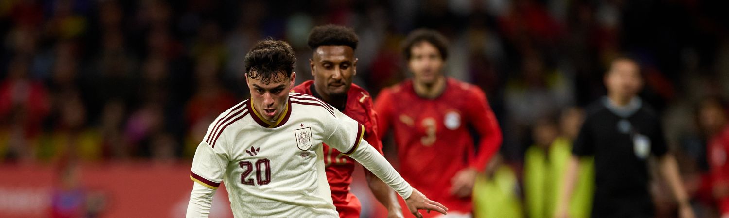 seleccionados de España para el Mundial