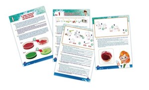 מעבדת קריסטלים מבית בוקי צרפת Buki France