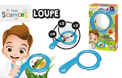 ערכת יצירה בפסיפס נוצץ קואלה מבית בוקי צרפת Buki France