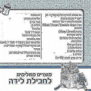 חבילת Cybex מושלמת-סייבקס בליוס-מלאגה- Balios S4