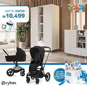 חבילת Cybex מושלמת-סייבקס -מלאגה-פריאם Priam 4