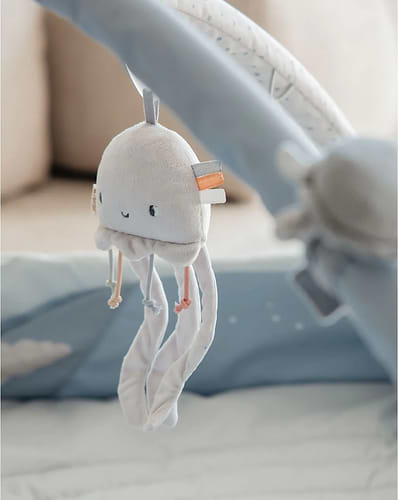 אוניברסיטה לתינוק בצבע כחול