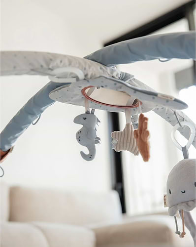 אוניברסיטה לתינוק בצבע כחול