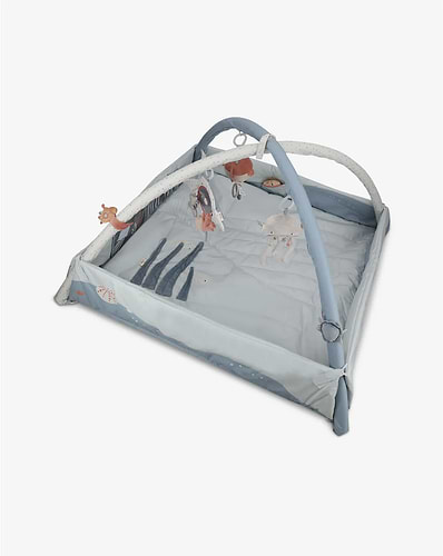 אוניברסיטה לתינוק בצבע כחול