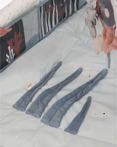 אוניברסיטה לתינוק בצבע כחול