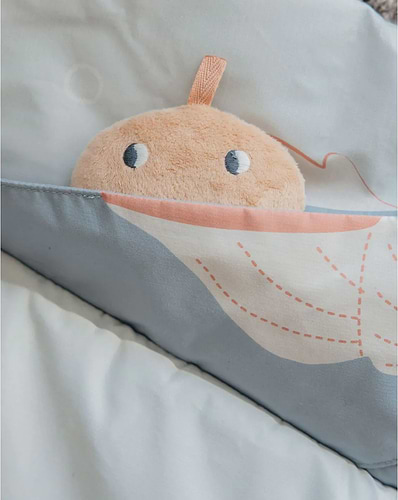 אוניברסיטה לתינוק בצבע כחול