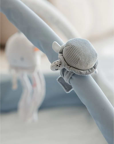 אוניברסיטה לתינוק בצבע כחול