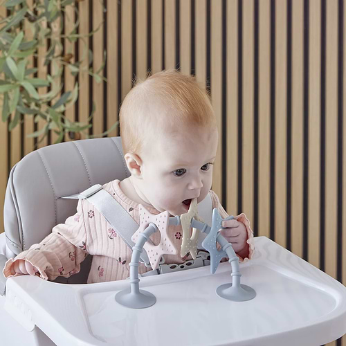 Stick 'n' Play – צעצוע כוכב חושי ונשכן מבית shnuggle