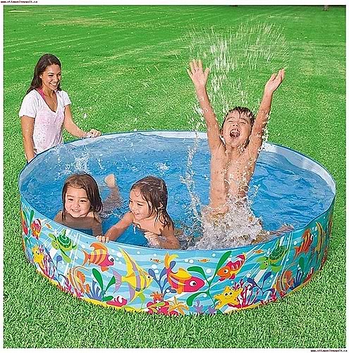 בריכת דופן קשיחה קוטר 183 ס״מ דגי ים 56452