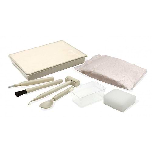 ערכת ארכיאולוגיה לחפירת שלד דינוזאור - טריצרטופס