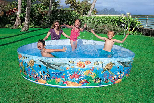 בריכת דופן קשיחה קוטר 244 ס״מ דגי ים 58472