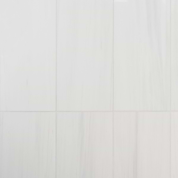 Bianco Dolomite White 12x24 Premium Polished Marble Tile