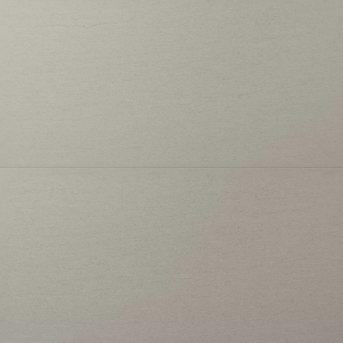 Tectic Tile Shop Sample of TLCMTCSLGR12X24, TLCMTCSLGR24X48 - Tectonic Silver Gray ...