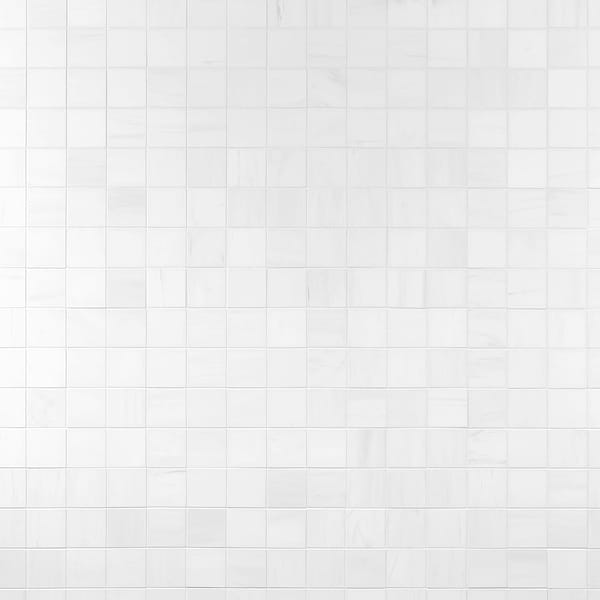 Bianco Dolomite White 3x3 Premium Honed Marble Mosaic Tile