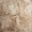 Caruso Delfi Dark Beige 24x24 Travertine Look Matte Porcelain Tile