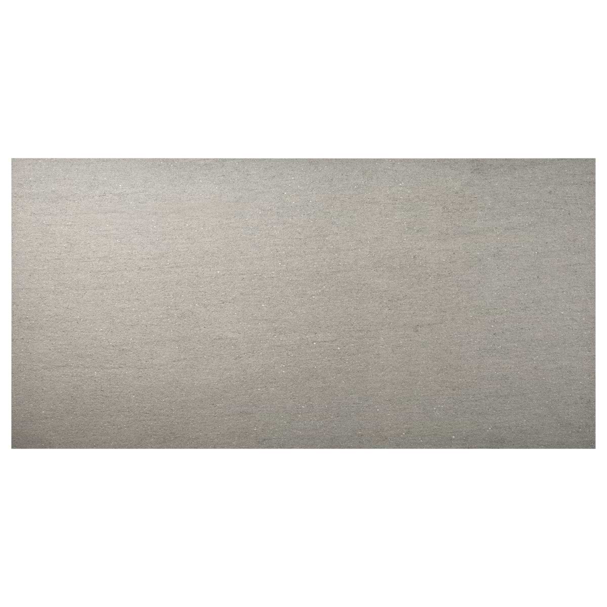 Tectonic Silver Gray 24x48 Matte Porcelain Tile 