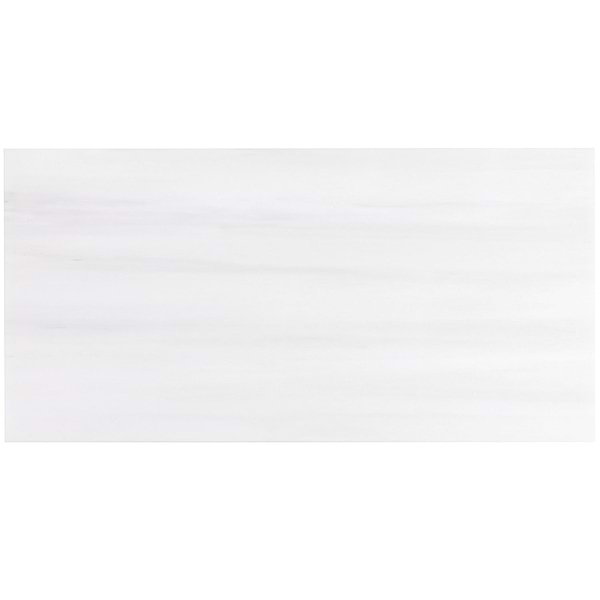 Bianco Dolomite White 12x24 Premium Honed Marble Tile