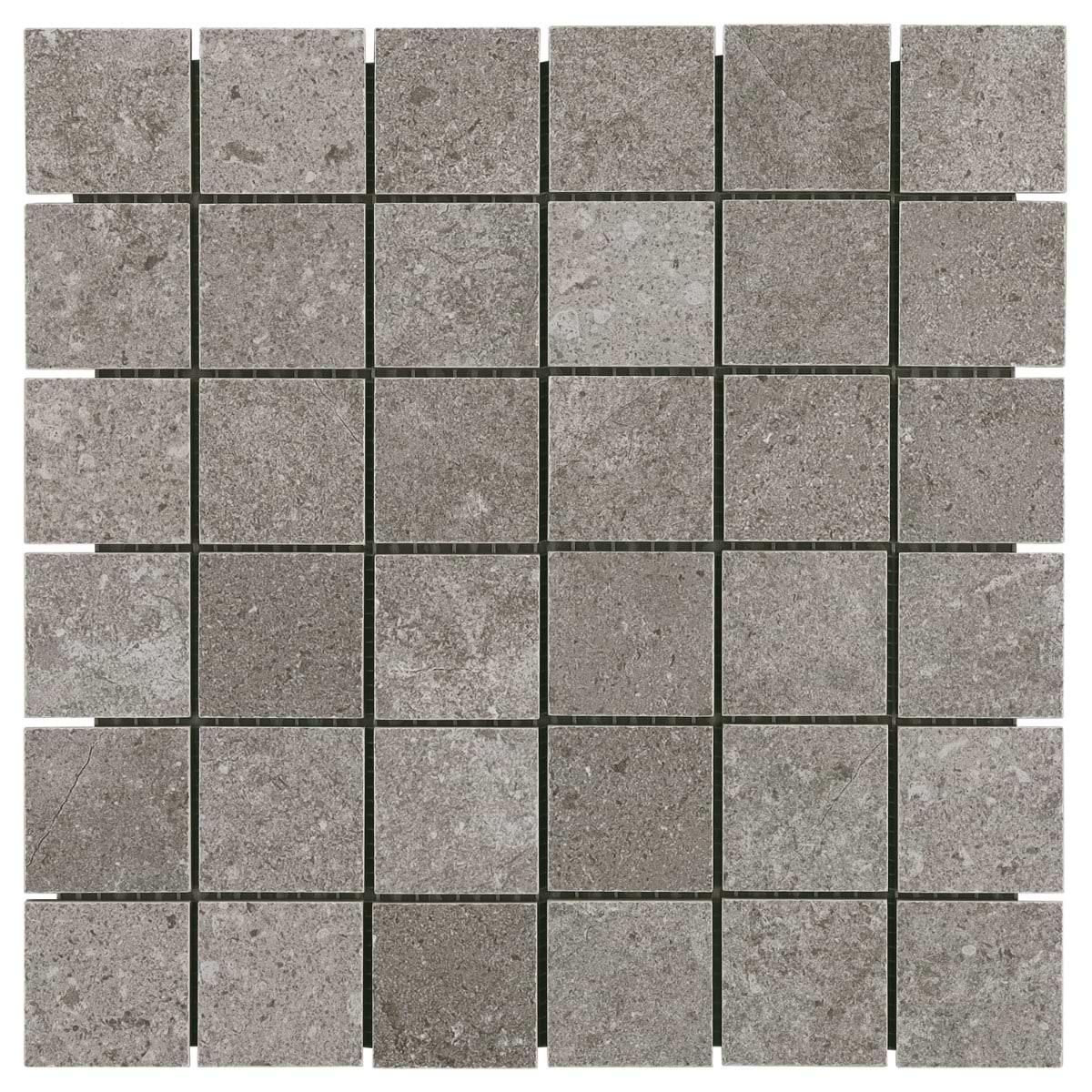 Ages Fossil Dark Gray 2x2 Limestone Look Matte Porcelain Mosaic Tile