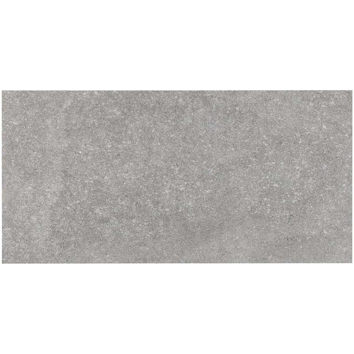Olympic Gray 12x24 Matte Porcelain