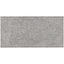 Olympic Gray 12x24 Matte Porcelain