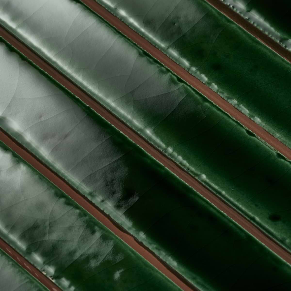 Shop Buenos Jungle Green 5x18 | SohoStudioCorp.com