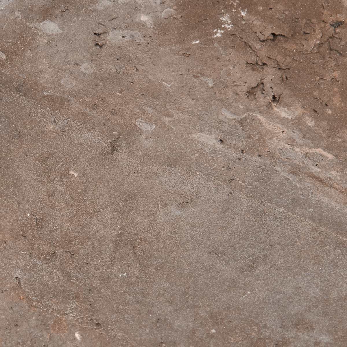 Shop Clay House Gray 4