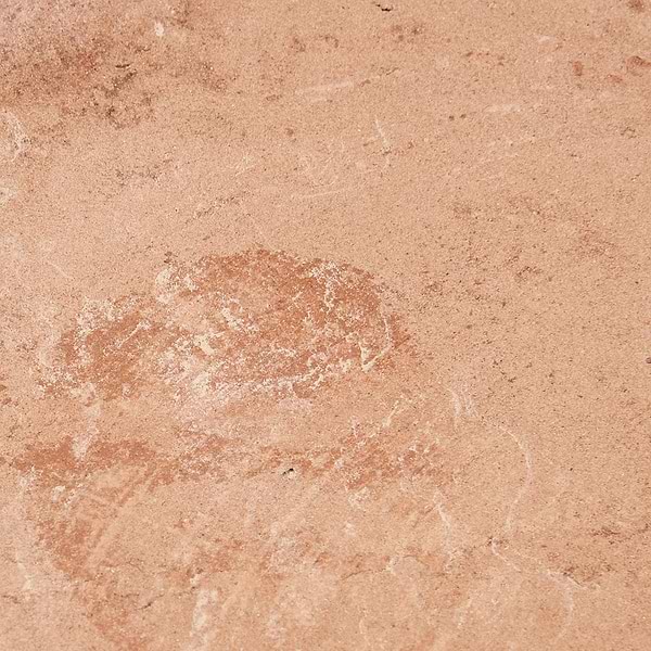 Clay House Sand Beige 4" Hex Matte Terracotta Matte Terracotta