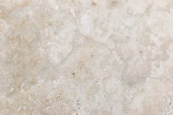Seville Olimpia 3x24 Bullnose Porcelain Tile