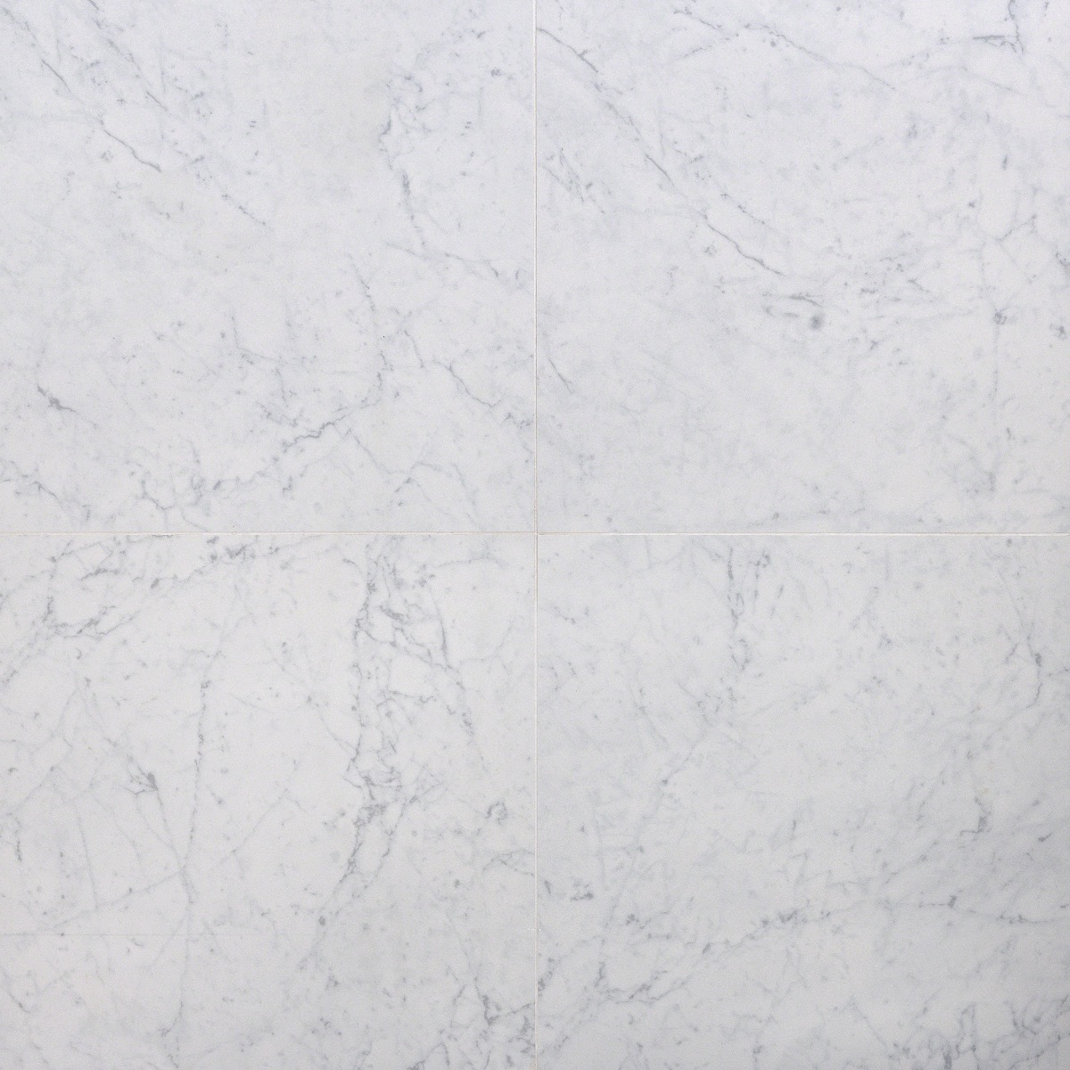 Marmi D'Italia Bianco Gioia 24x24 Polished 