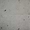 Kado Cement Smoke Gray 24x48 Terrazzo Look Matte Porcelain Tile