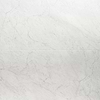 Lithe Carrara Giola 24x48 Polished Porcelain