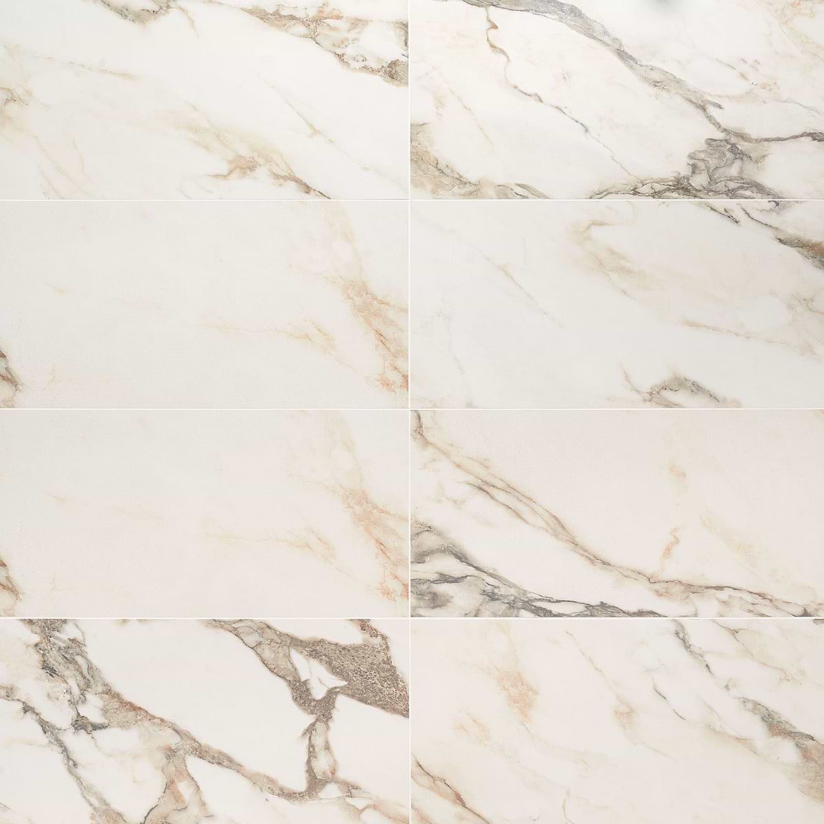 Lithe Calacatta Rustico 12x24 Polished 
