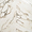 Lithe Calacatta Rustico 24x24 Polished Porcelain