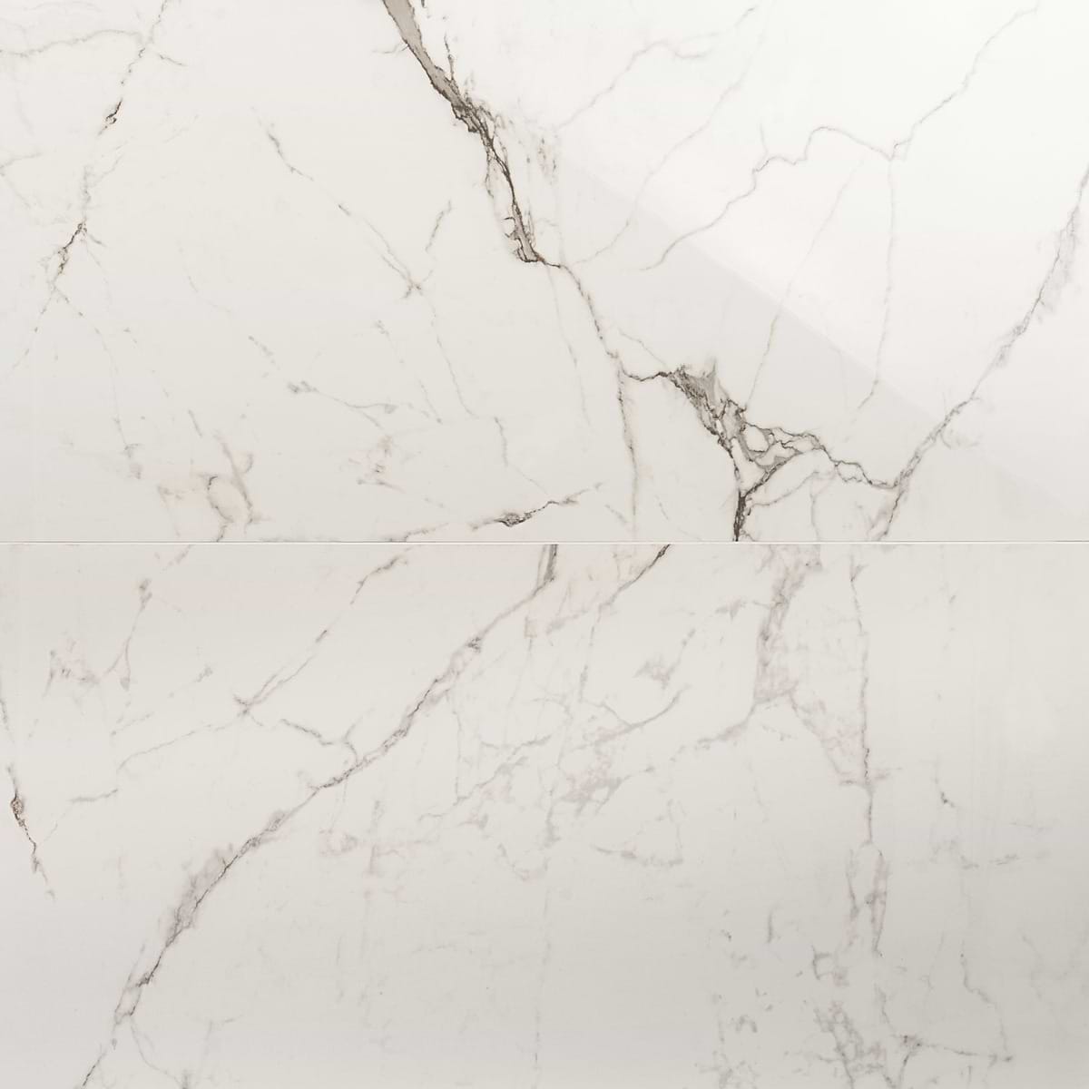 Lithe Statuario Venato 24x48 Polished  Porcelain
