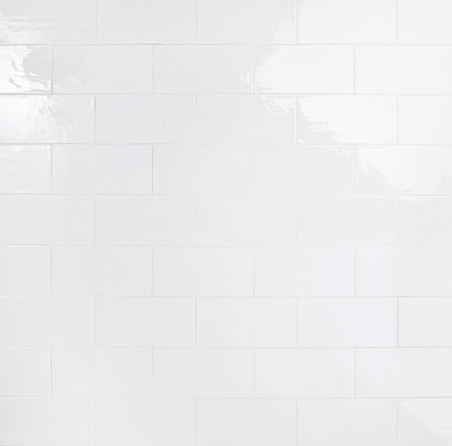 Scatoloni Bianco 5x10 Polished Ceramic