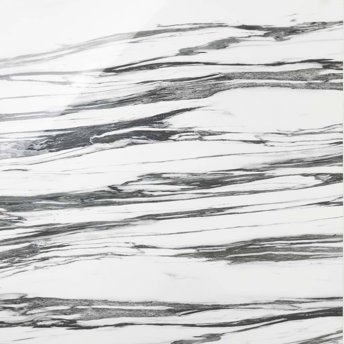 Close Out - Black + White Fall 24x48 Polished 