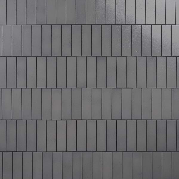 ColorHues Lava Stone Fossil Gray 2x8 Polished Lava