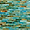 Averly Lagoon Polished Glass